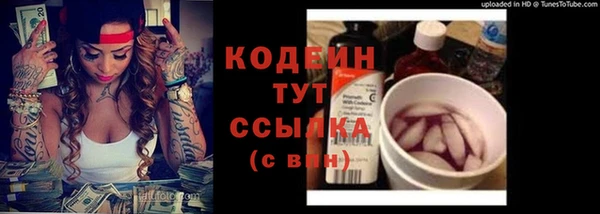 эйфоретик Алзамай