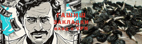 эйфоретик Алзамай