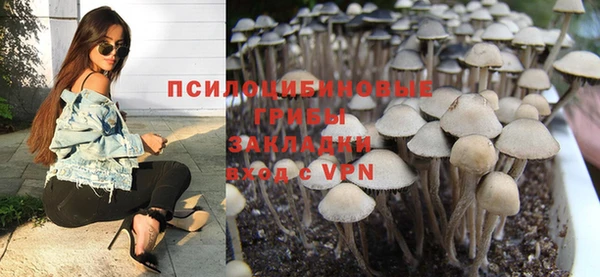 эйфоретик Алзамай