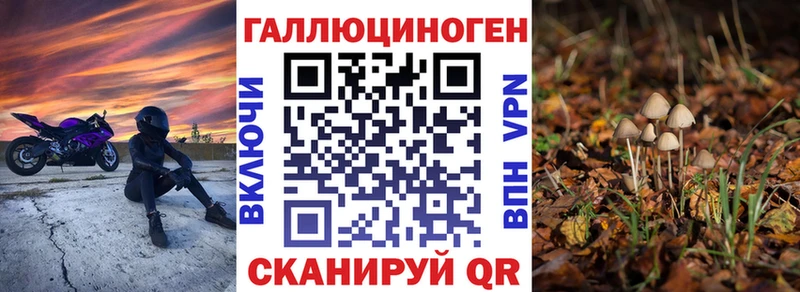 Галлюциногенные грибы прущие грибы  Жиздра 
