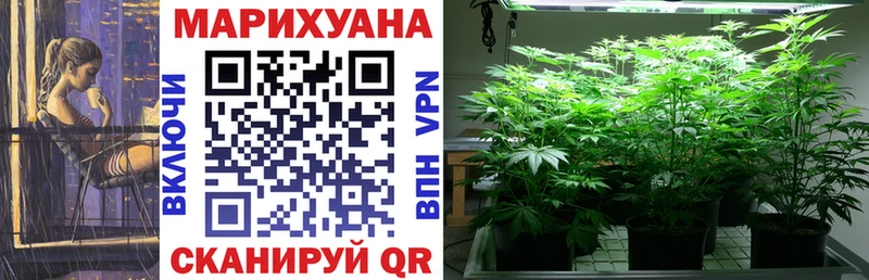 Каннабис OG Kush  Жиздра 